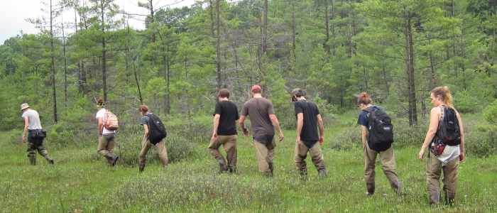 students in waders walking through a bog
