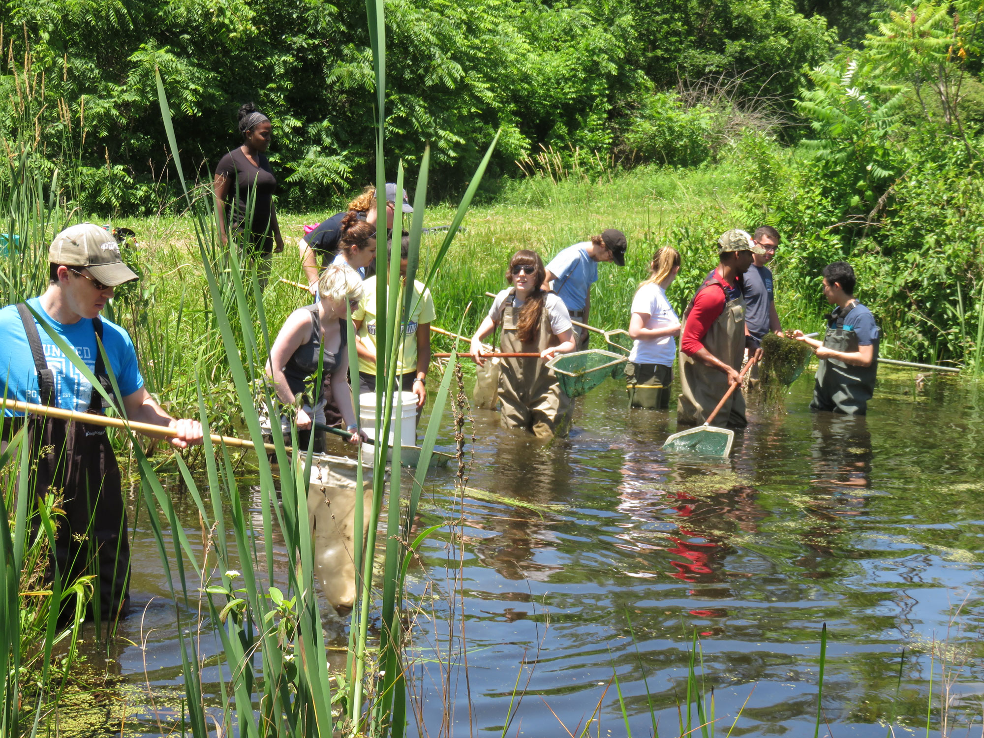 students using dipnets in a pond