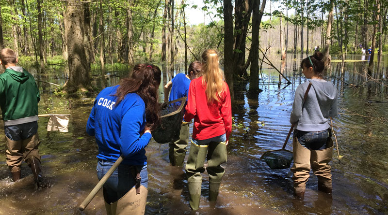 students dipnetting in a pond