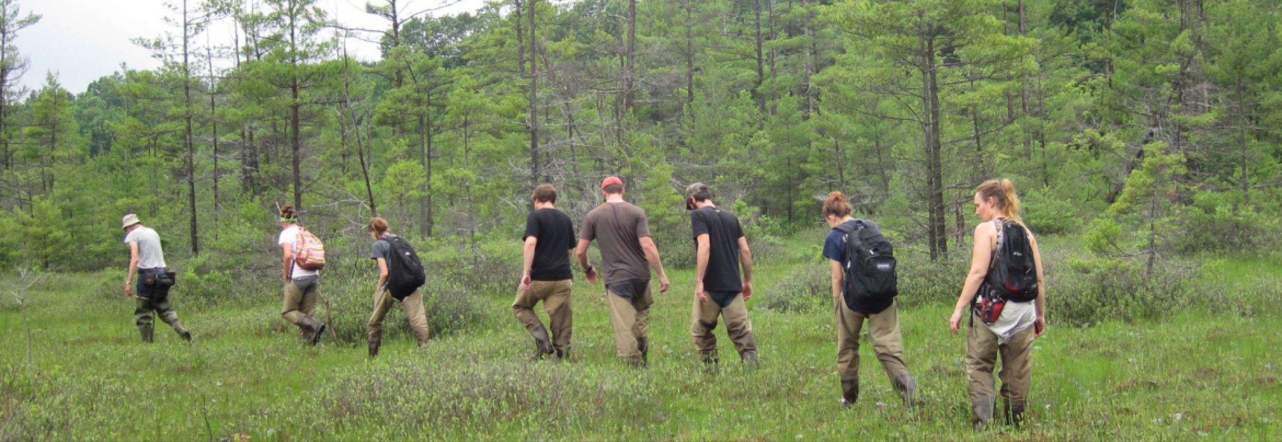 students walking in a wetland