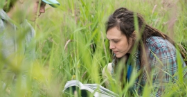 researcher reading text in field