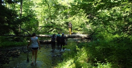 Students walking through a creek