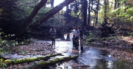 students sampling in a creek